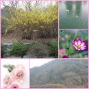 용마산역 이미지