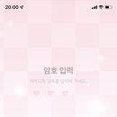 코코나 카카오 검색결과