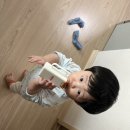 정환목장 이미지