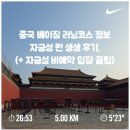 시도 8호선 버즘나무 | 중국 베이징 자금성 러닝코스 및 비예약 입장 꿀팁.