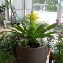 상록메디칼약국 이미지