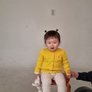 [육아] 호랑이사진관 :: 안양 아기증명사진, 아기여권사진 촬영 후기, 아기여권사진 촬영 꿀팁