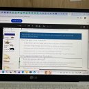 김수만 | 일상 28 : 원래 청춘은 로우킥