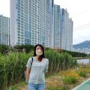 백조양행 이미지