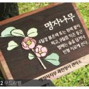 가연디자인 이미지