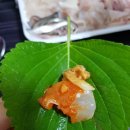 팔도활어