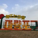 마량포 해넘이.해돋이 축제 | 서천 마량진항 해넘이 해돋이 행사 2025 병오년 서천 마량포구 해넘이 축제