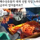 왕대수산