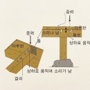 거북찻집 | 교토 니조성 관람 후기, 세계 문화유산 화려한 궁전과 특징 꾀꼬리 마루