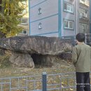 고인돌체험관 공중화장실 | 용인 단풍 명소 한국외대 명수당 : 11월 중순 주말 방문후기