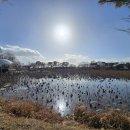 지리산한의원 이미지