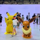 벡스코공간디자인 | 부산 벡스코 행사 2026 부산 모빌리티쇼 모터쇼 차알못 관람 후기