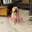 다시올민박 이미지