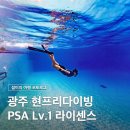 광주프리다이빙 원데이 강습 PSA 라이센스 취득 후기