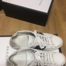 에이스 소프트 이미지