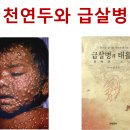 천연두와 급살병, 확정된 천지도수 이미지