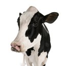 오메가 쓰리 스포츠 이미지