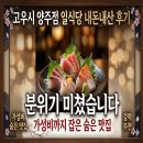 고우시 - 양주시 고삼로 3 | 양주 맛집 고우시 양주점 내돈내산 후기, 가성비 좋은 일식당 추천