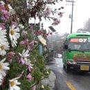 구룡약국 이미지