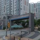 브레인리드인교습소