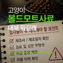 “먹고 이상 증상”…볼드모트 사료 논란 정리