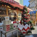 용산-160 | 쌤쌤쌤 용산 흑백요리사2 라자냐 맛집 주말 웨이팅 메뉴 후기