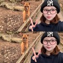 SK 동우카프라자 | 그만시간지나가주세요진도놓친게너무쪽팔리고한심합니다라며 쓰는 24년 12월 마지막 겨울일기..