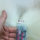 이름소프트 이미지