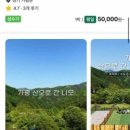 그래가