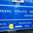 수지 어린이서점 방문 후기 (놀라운자연 구입, 소전집 2질 증정 이벤트)