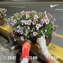 씨유 진주신안강변점 | 왓츠인마이블로그 6️⃣