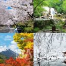 Colors of Korea 이미지