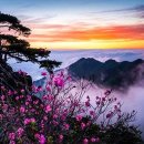 관심 분야는 전문 연구가를 만나 상담하라~ 이미지