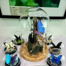 달성습지 생태 학습관 이미지