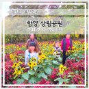 버들놀이터공원 (옥외1) | 함양가볼만한곳 꽃구경하기 좋은 함양 상림공원