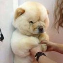 진미당 제과 이미지