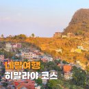 느림보코끼리 | 네팔 여행 혼자 비용 히말라야 트레킹 7박 9일 일정