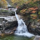 오대산식품