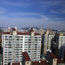 당중초등학교 Daum카페