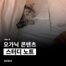 콘텐츠 마케팅 스쿨 스터디 노트 - [13_콘텐츠 에디터를 위한 오가닉 콘텐츠 글쓰기]