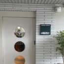 여유로이 | 여행 감성숙소: 버들맨션 D Type 203호 투숙후기 여유로이 힐링하기 좋은곳(성밖숲 자전거데이트,성주...