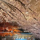 어반푸드 - 용인시 기흥구 | 어반푸드