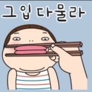푸드골프