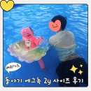 체리래쉬 | 돌아기 에그녹 래쉬가드 2y 사이즈 실착 후기, 키즈 래쉬가드 추천