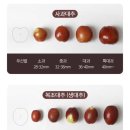 보은농장 | 아삭하고 달콤한 보은생대추 1kg 주문후기