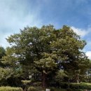 선옥공원 이미지