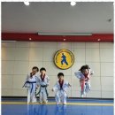 경용태권도 이미지