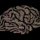 뇌졸중의 예방과 치료 이미지