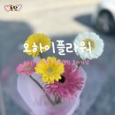오하이플라워 이미지