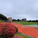 애월고등학교 이미지